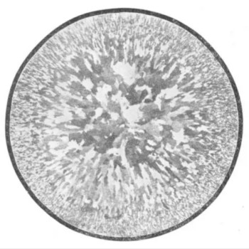 低倍组织及缺陷检测