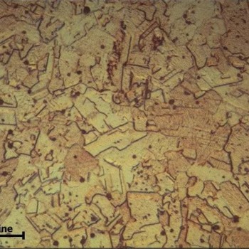 铜合金金相分析