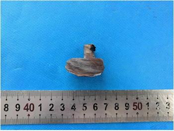 紫铜成分分析 紫铜成分分析
