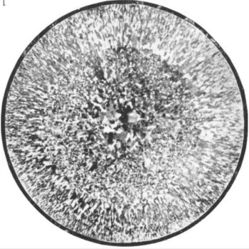 低倍组织及缺陷检测