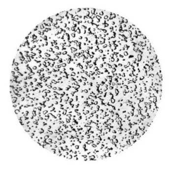 金属显微组织分析