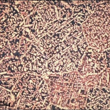 铜合金金相分析