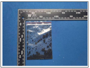 聚四氟乙烯定性半定量分析