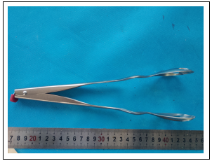 不锈钢猫爪食品夹成分检测
