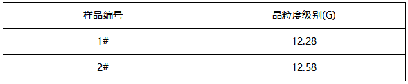 铜芯线晶粒度检测