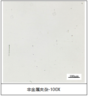 铁片金相组织分析 铁片金相组织分析