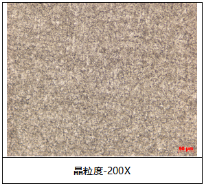 铁片金相组织分析 铁片金相组织分析